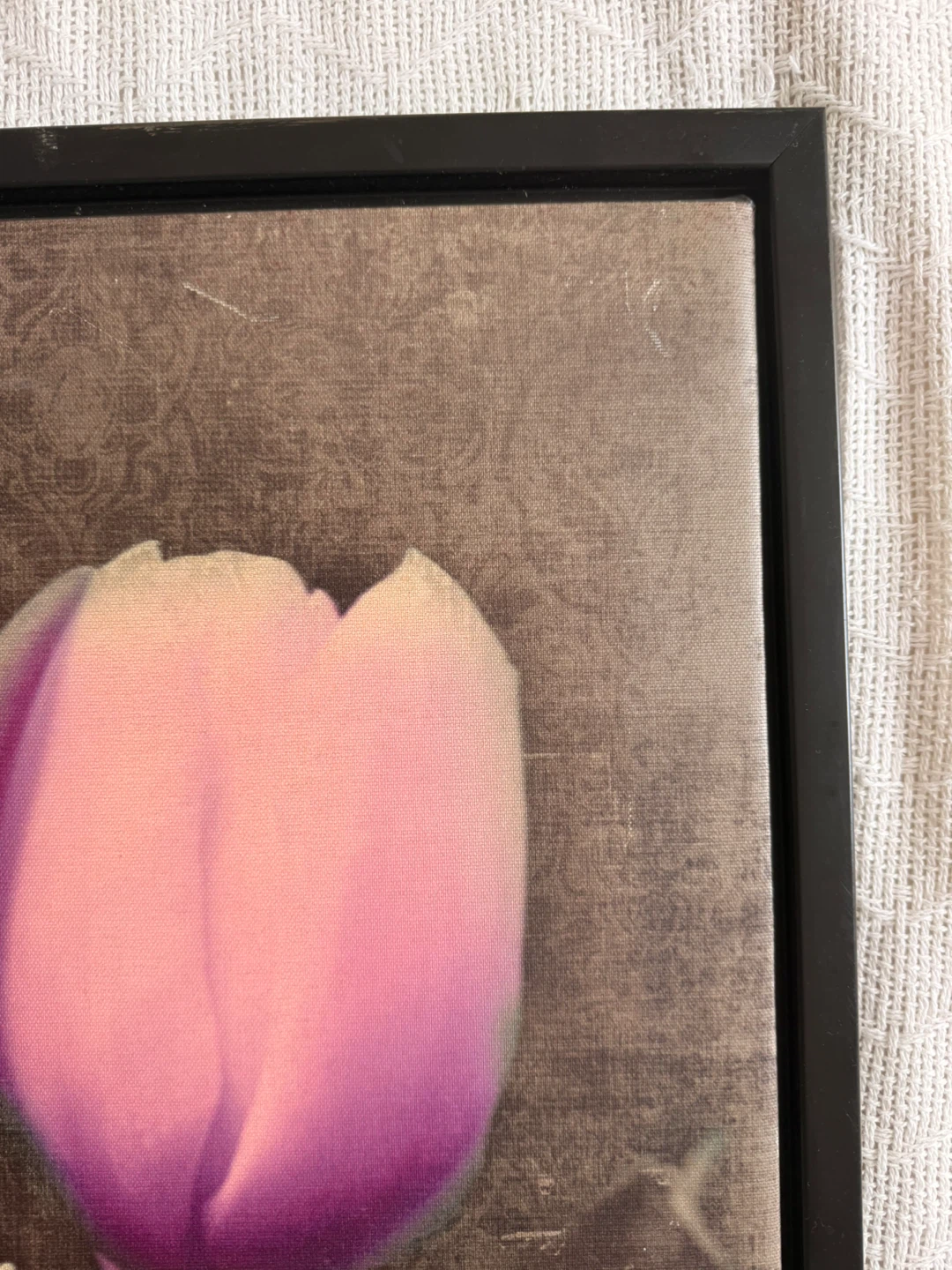 Tulip Canvas Print Wall Art  18” x 22” inches - photo 3