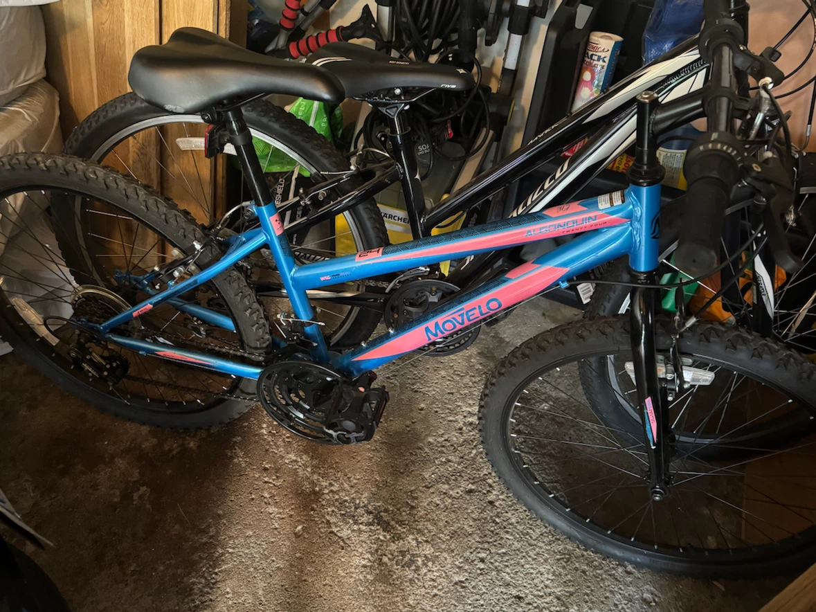 Movelo Algonquin 24 Inch Mountain Bike