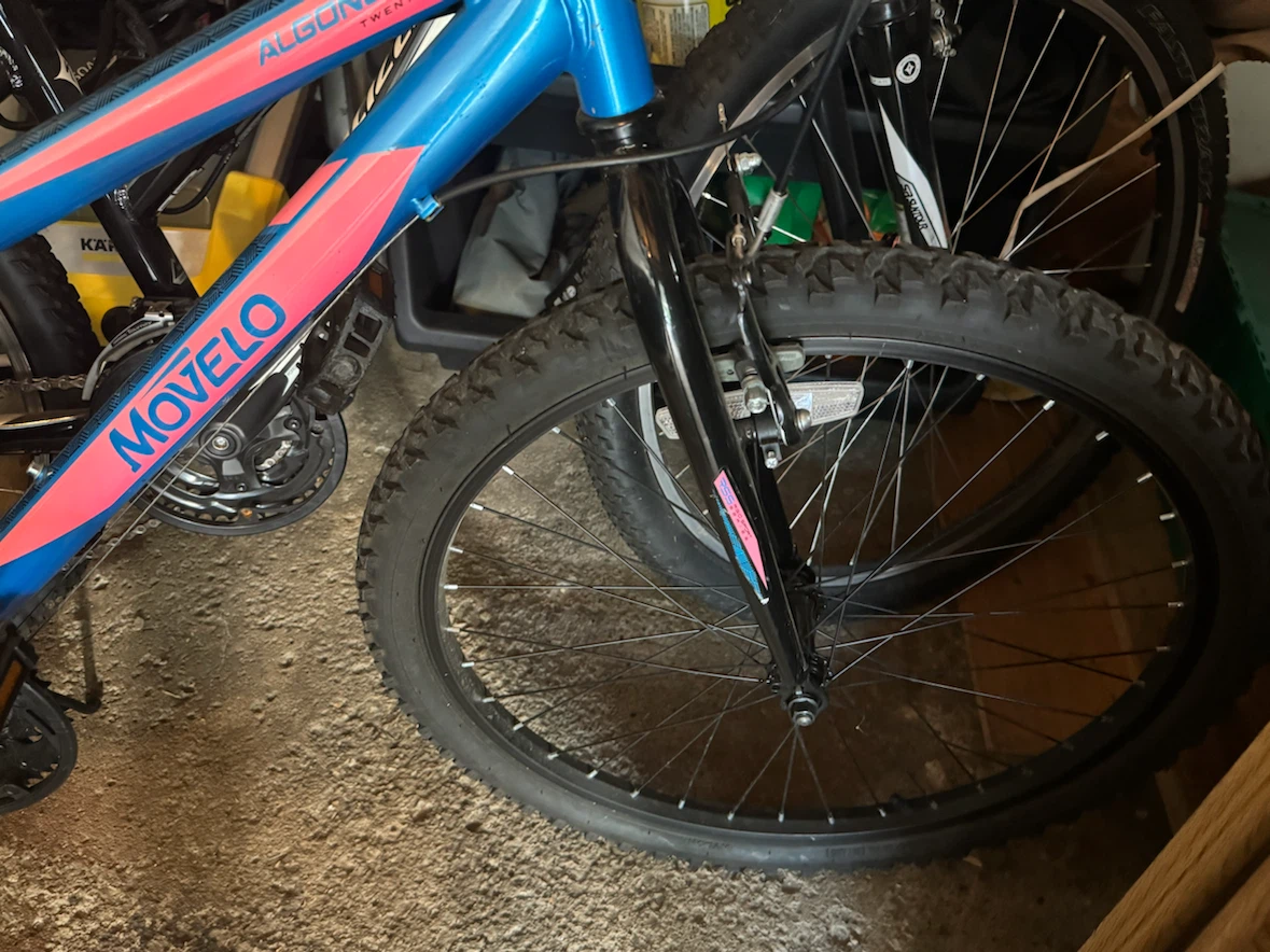 Movelo Algonquin 24 Inch Mountain Bike - photo 3