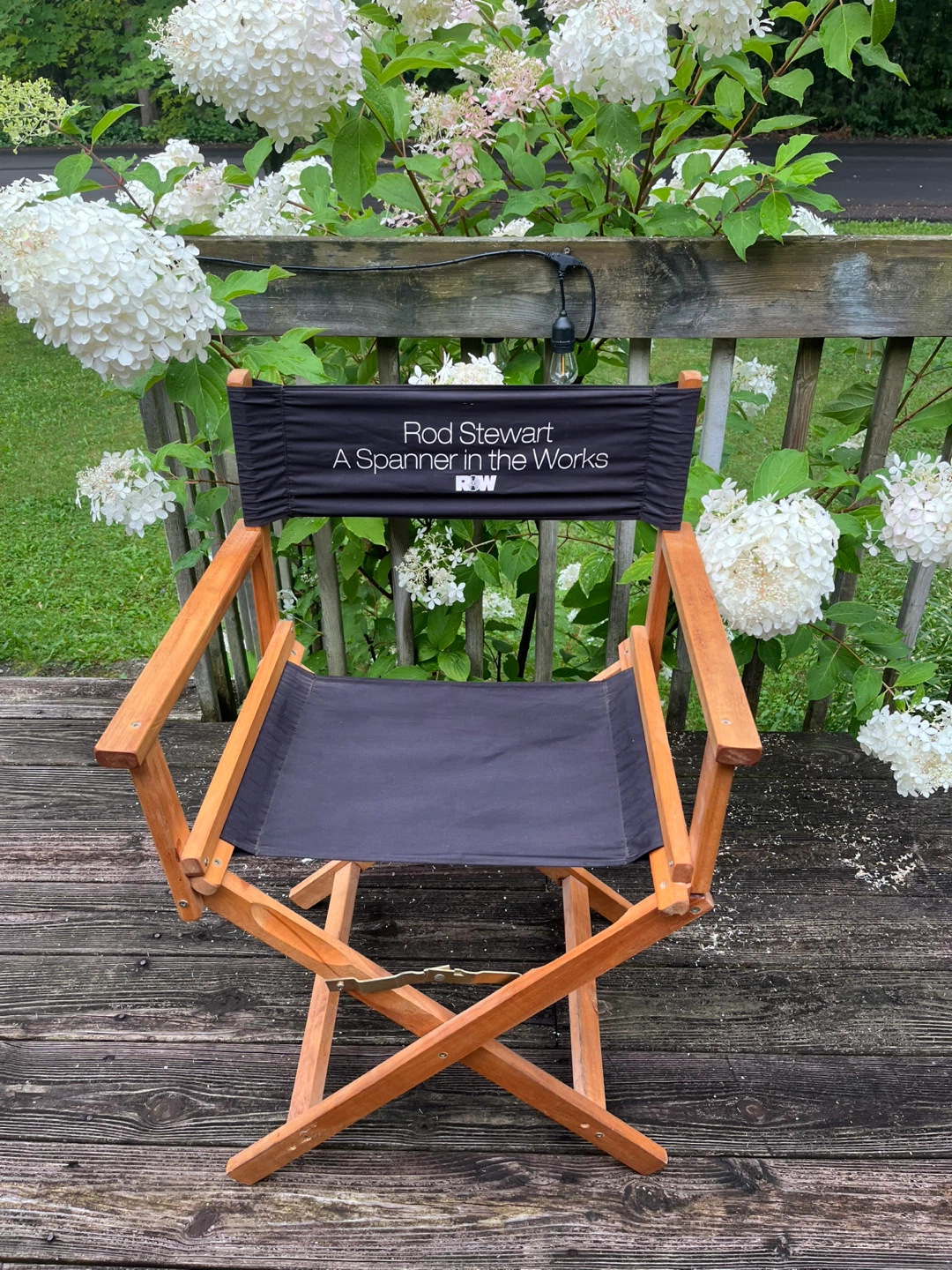 Rod Stewart A Spanner in the Works Director's Chair