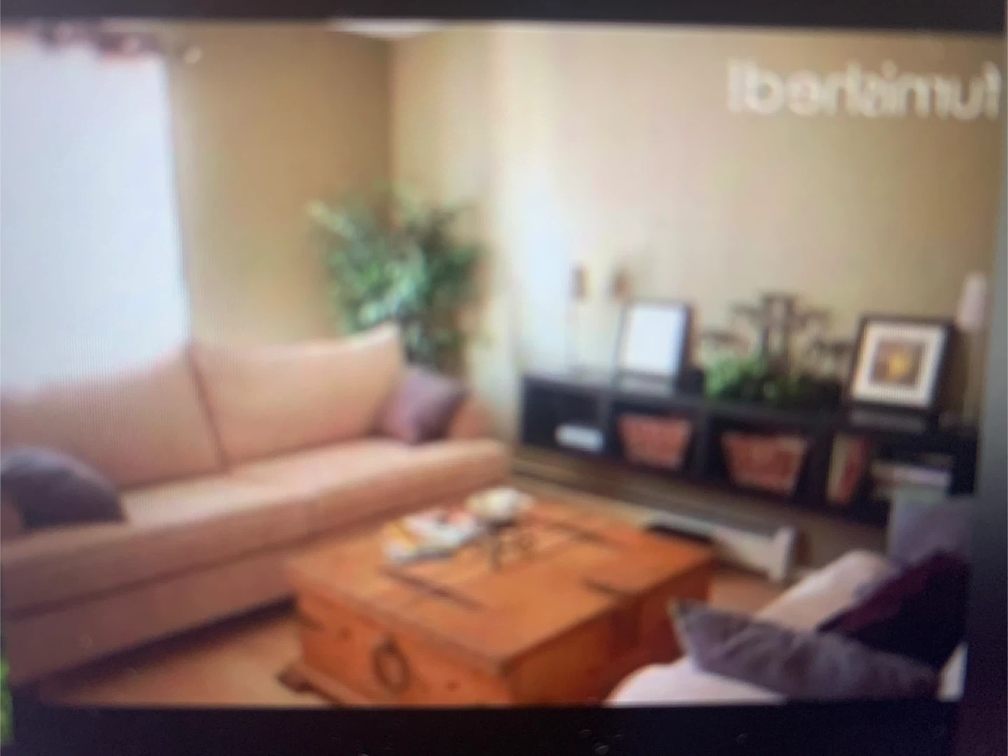 Horner area-Spacious 1 bedrm apt. For Single - photo 4