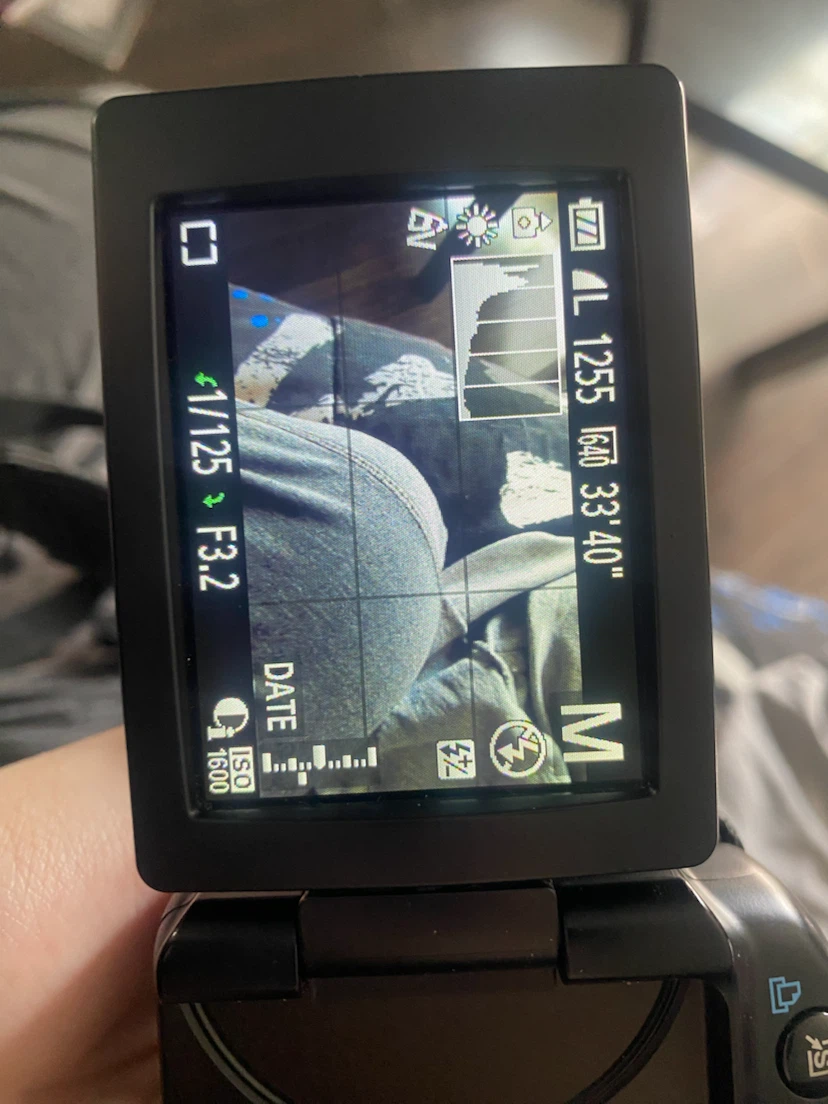 Canon SxHS40 digital camera - photo 4