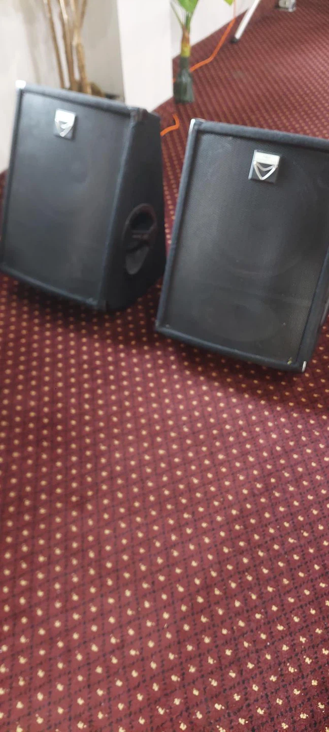 3 wharfed-ale Pro Monitors SVP -12M - photo 4