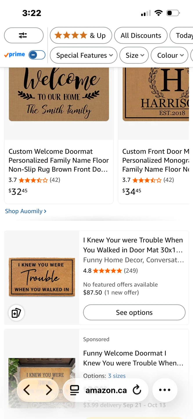 MAINEVENT I Knew You Were Trouble Coir Doormat - photo 2