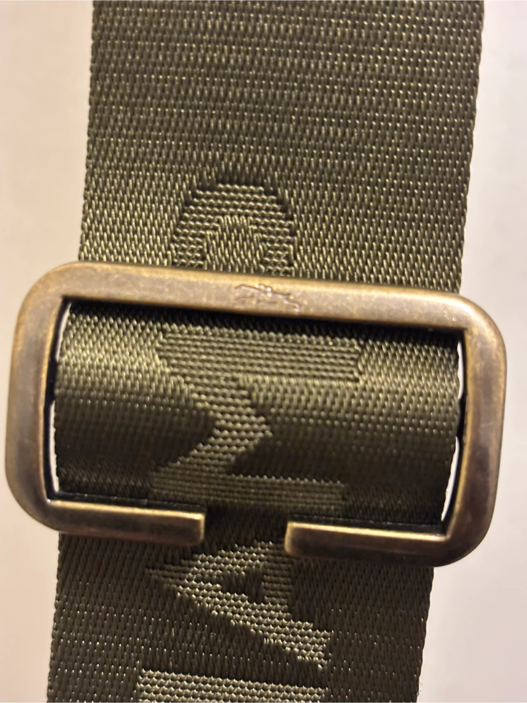 Longchamp Green Canvas & Leather Crossbody Bag - photo 2