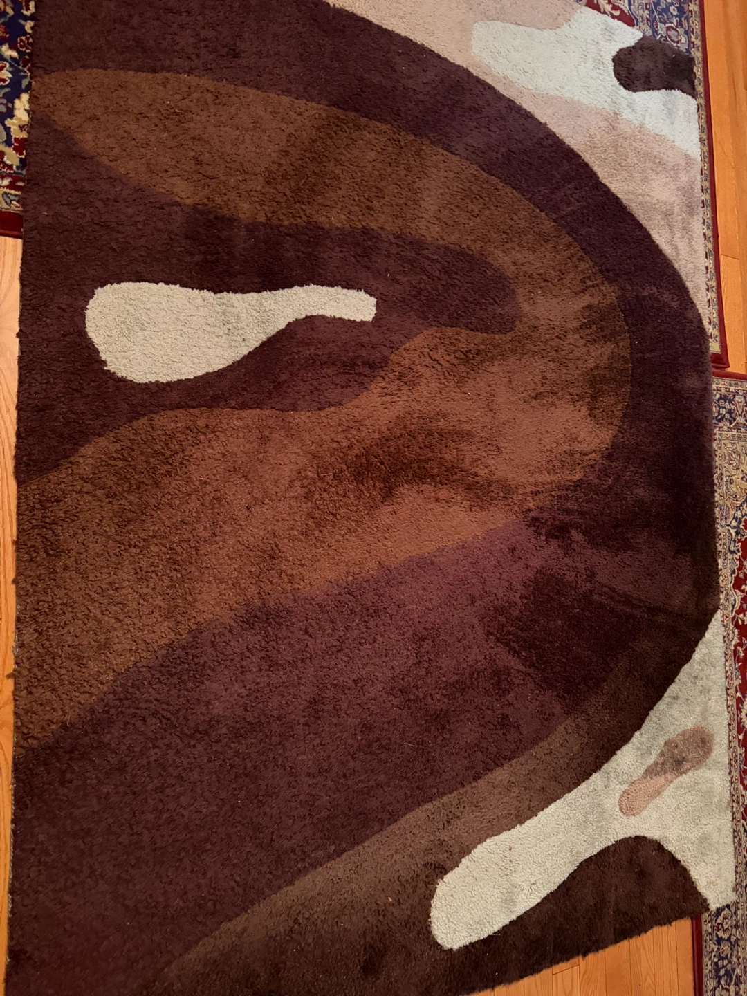 Abstract Brown Shag Rug
