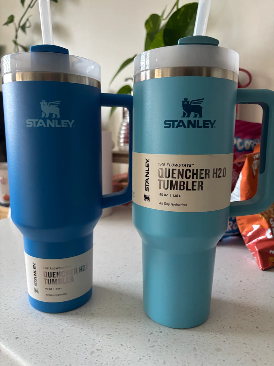 Two Stanley FlowState Quencher H2.0 Tumblers