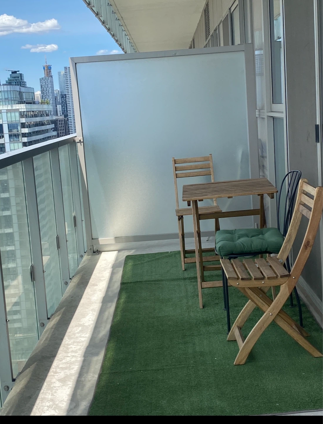 Indoor/Outdoor Synthetic Grass carpet/rug 4*10 feet