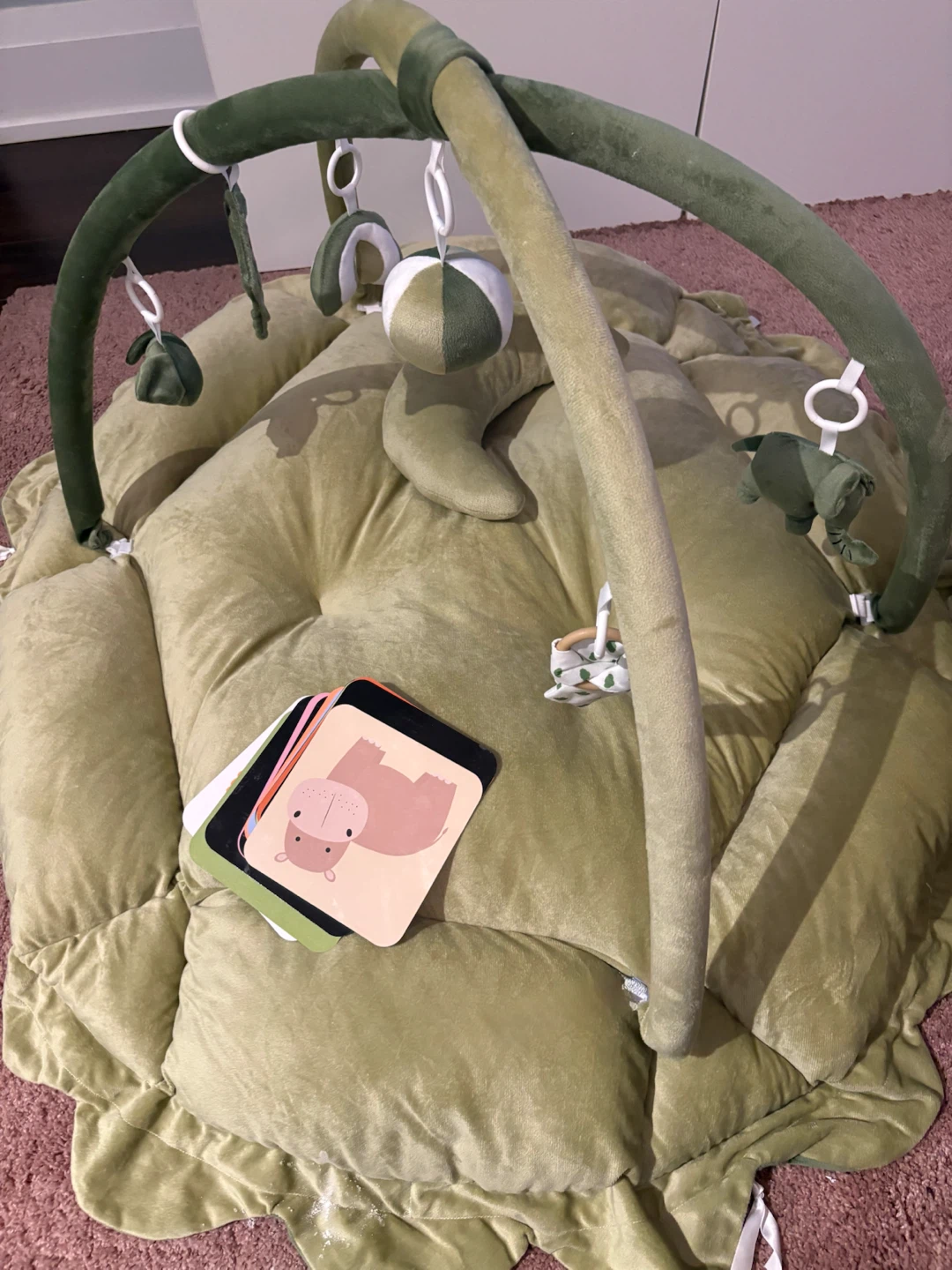 Baby Play Gym Mat with Toys and Cards