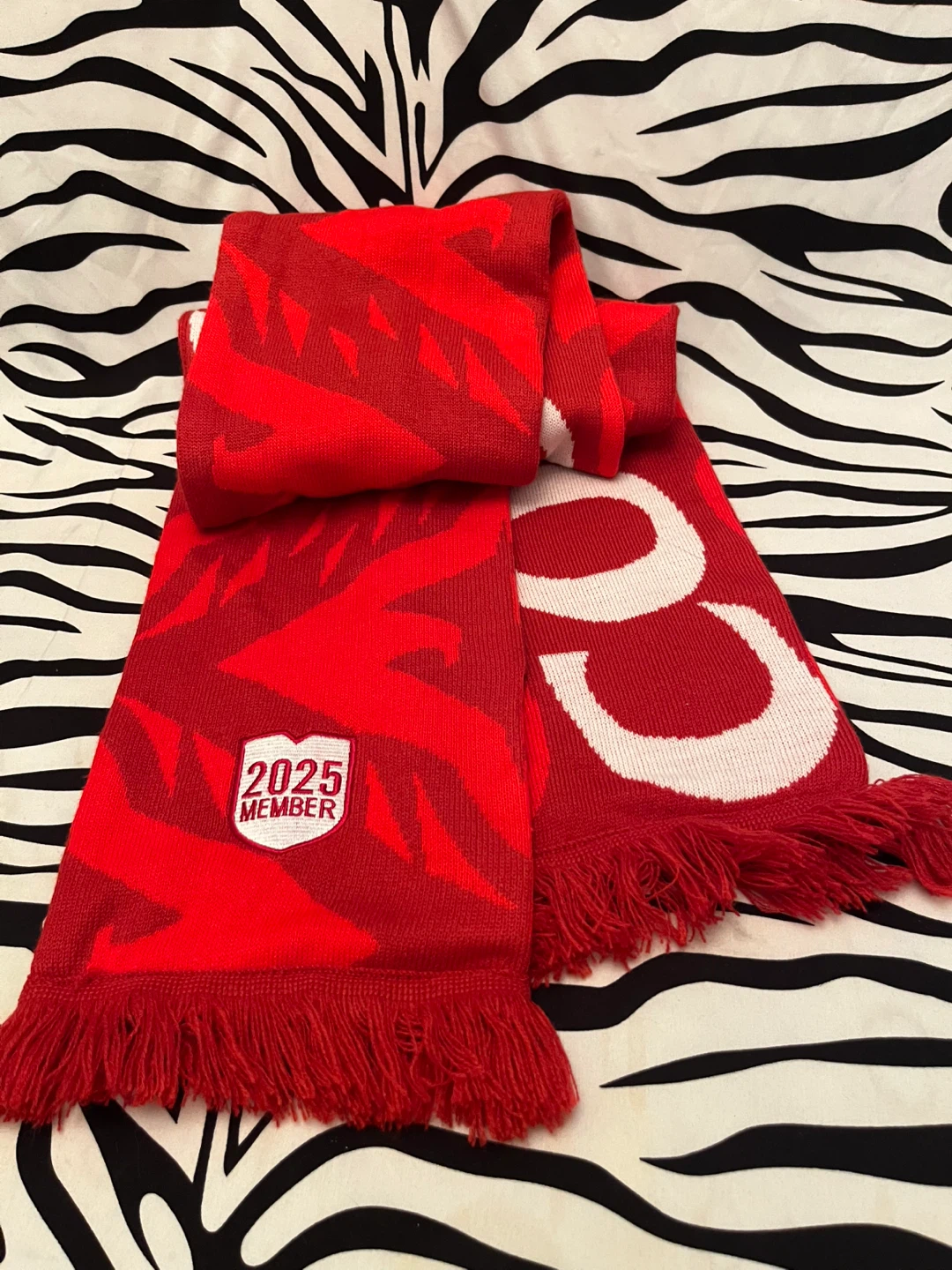 ⚽️ Official Toronto FC 2025 Member/Season Ticket Holder scarf ⚽️