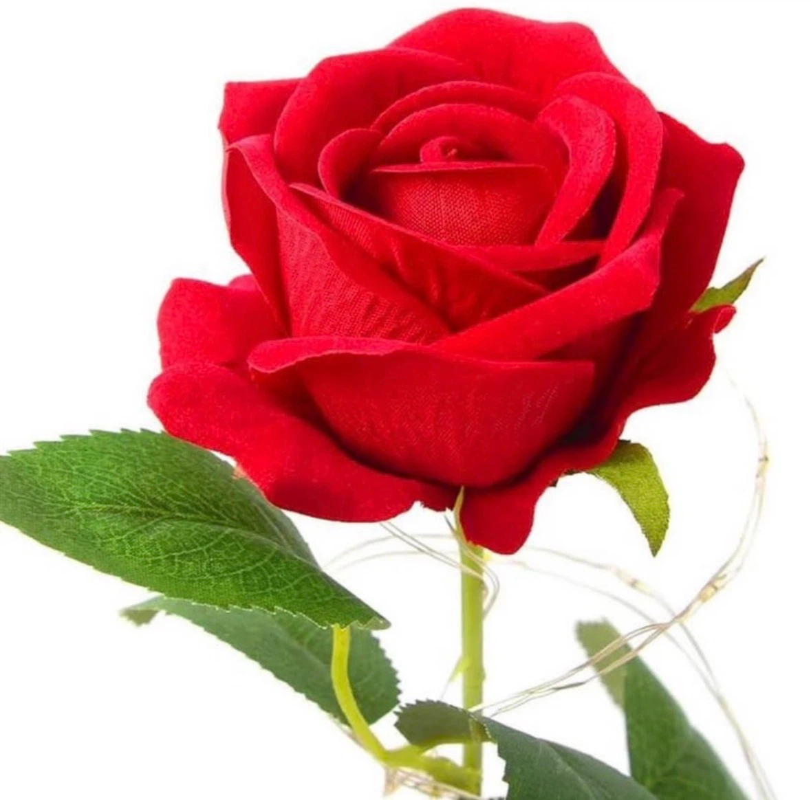 Eternal Flower Rose, Red Romantic Rose for Women,Rose in a Glass - photo 3