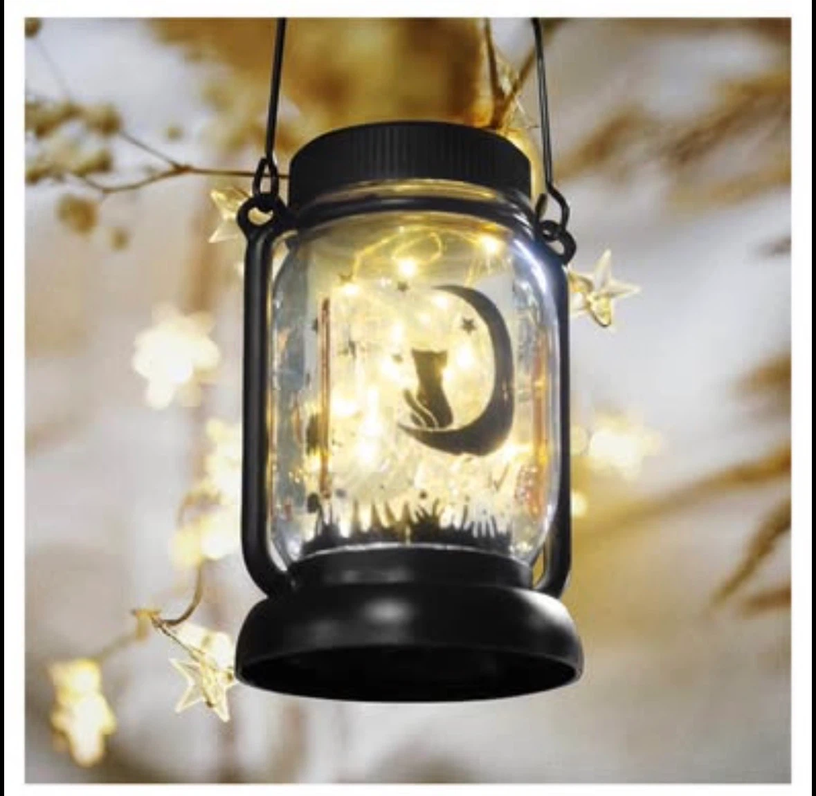 2-3-in-1 Outdoor Waterproof Solar Cat Lantern – Mason Jar - photo 2