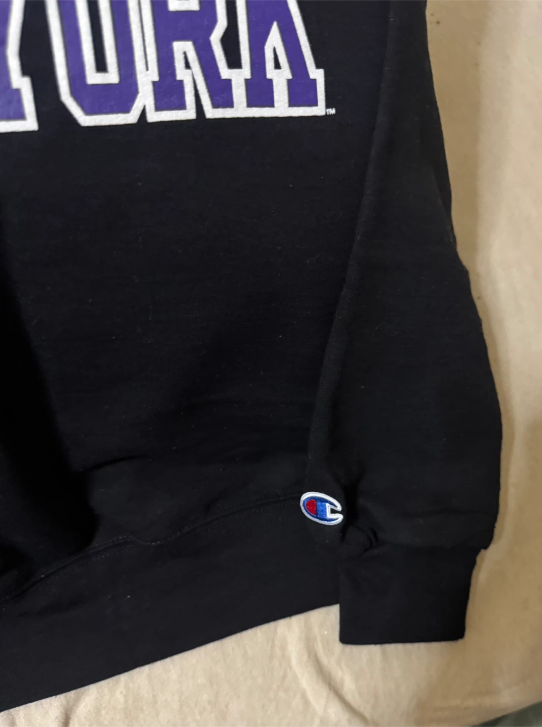 The City College of New York Sweatshirt & Hat - photo 3