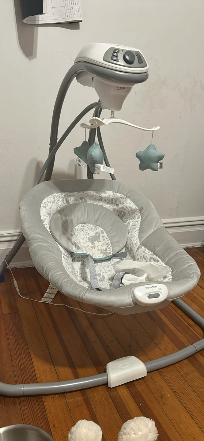 Graco Baby Swing and Bouncer