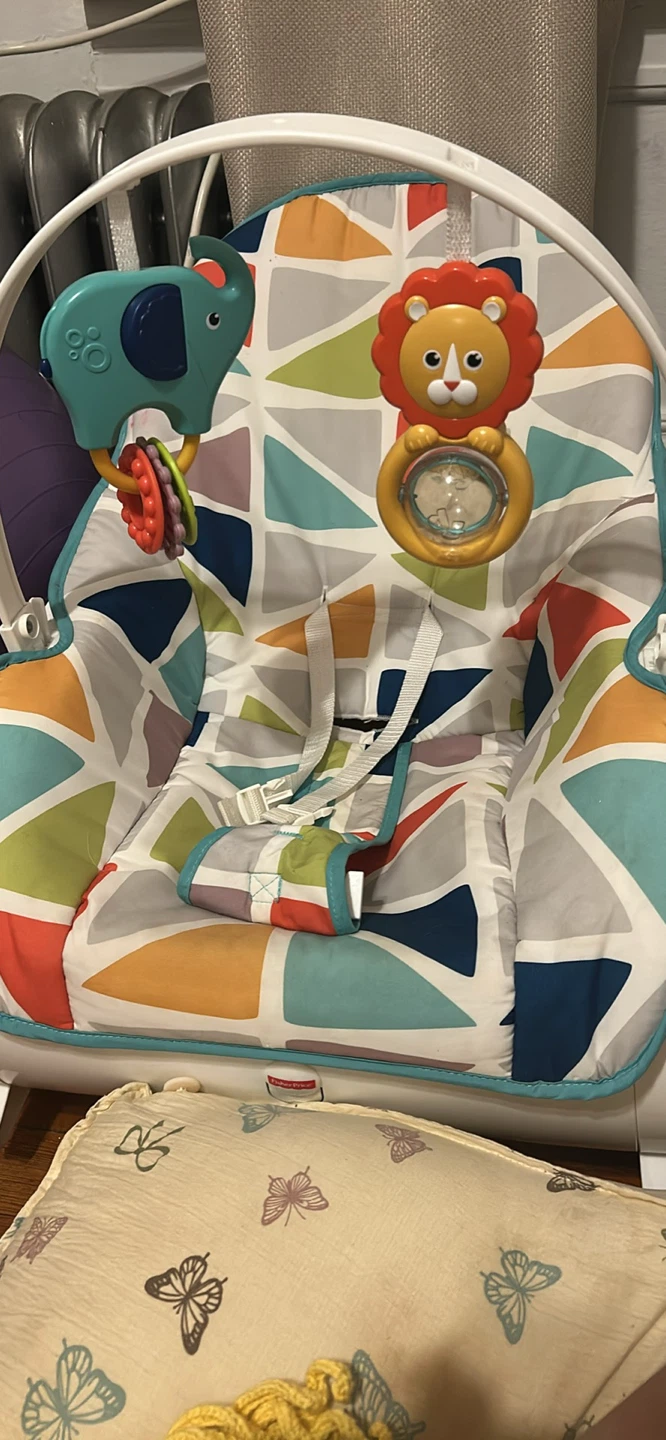 Fisher-Price Infant Bouncer