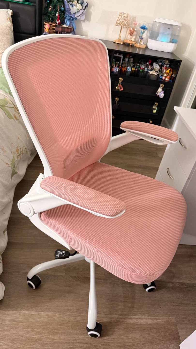 Ergonomic Office Chair - Pink
