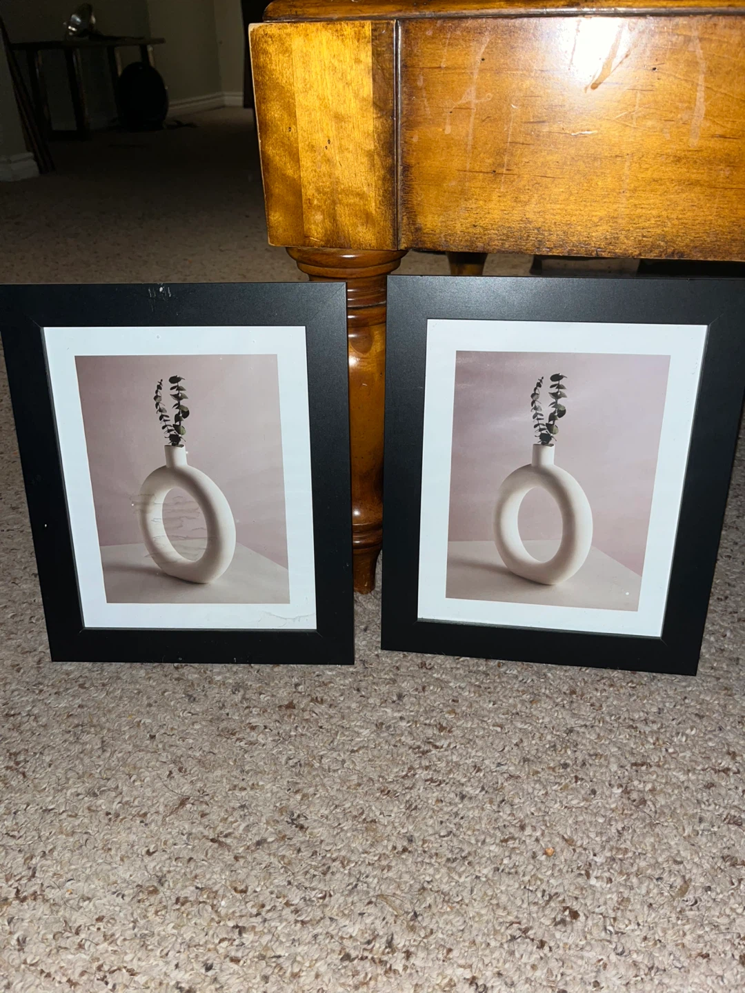 Set of 2 Framed Botanical Prints
