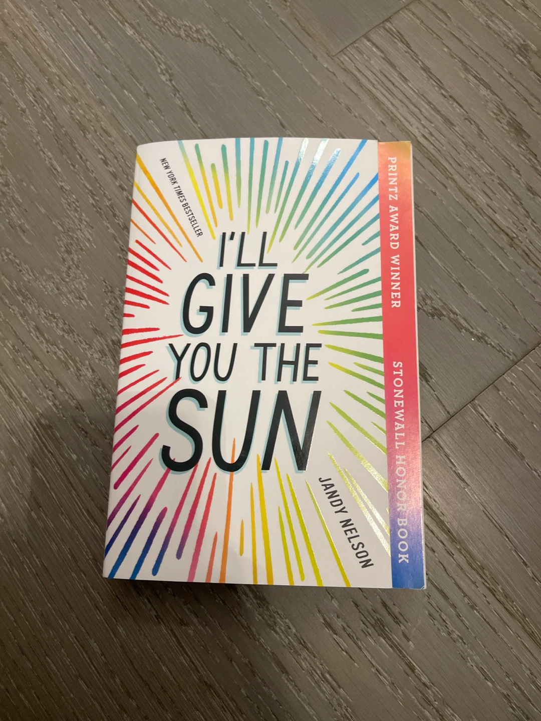 I'll Give You the Sun by Jandy Nelson Novel