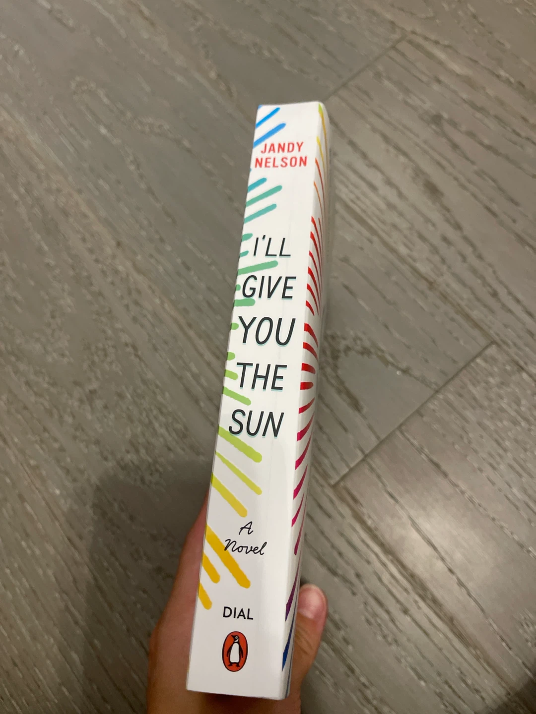 I'll Give You the Sun by Jandy Nelson Novel - photo 2