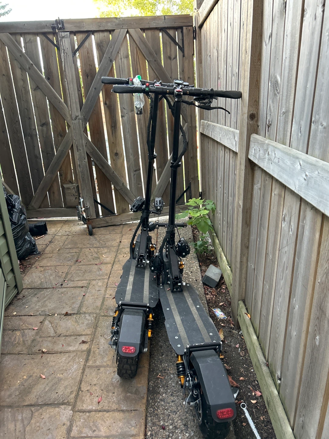 Electric scooters