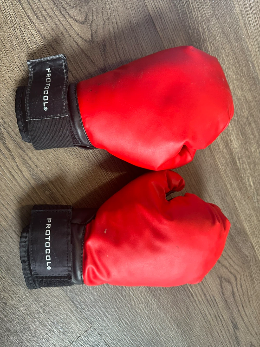 Protocol Red and Black Boxing Gloves