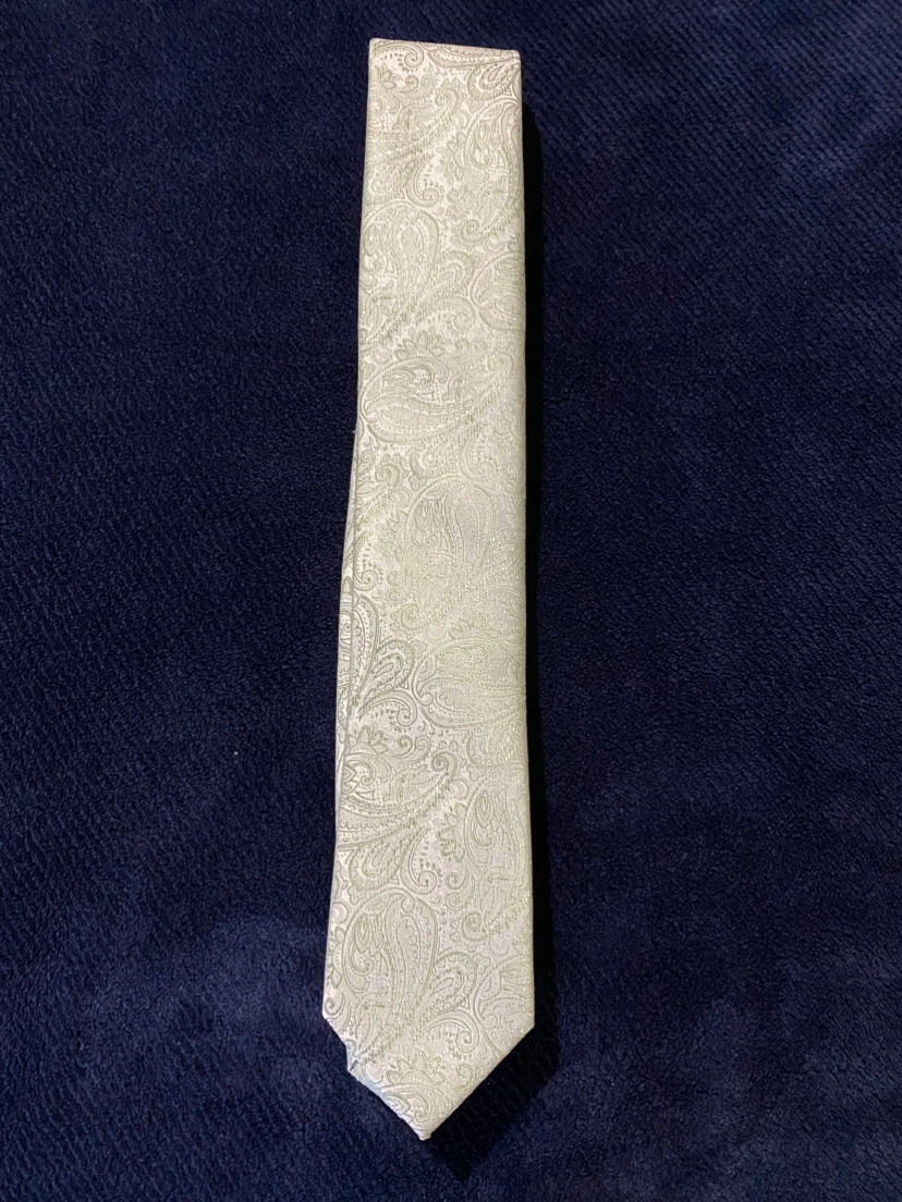 Bellissimo Paisley Tie • Light Green/Silver ***