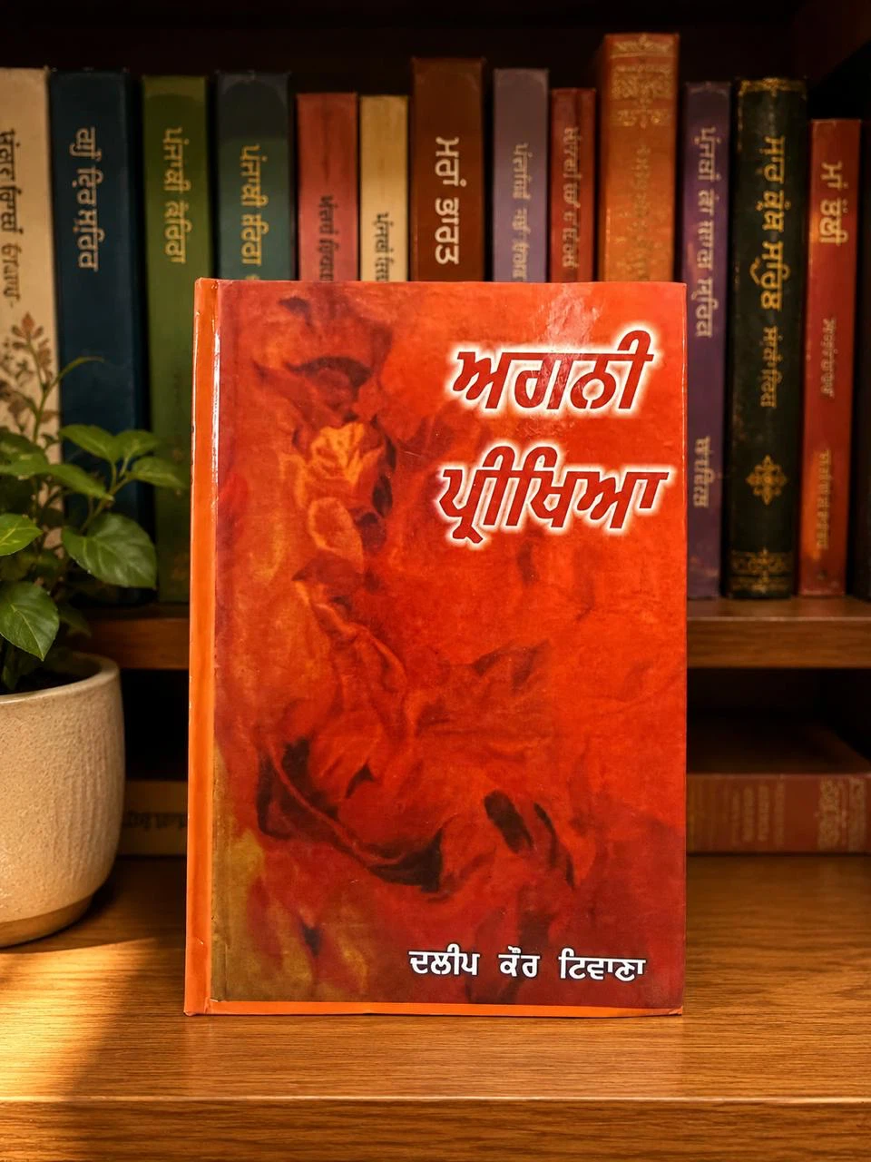 Books for literature lovers - photo 2