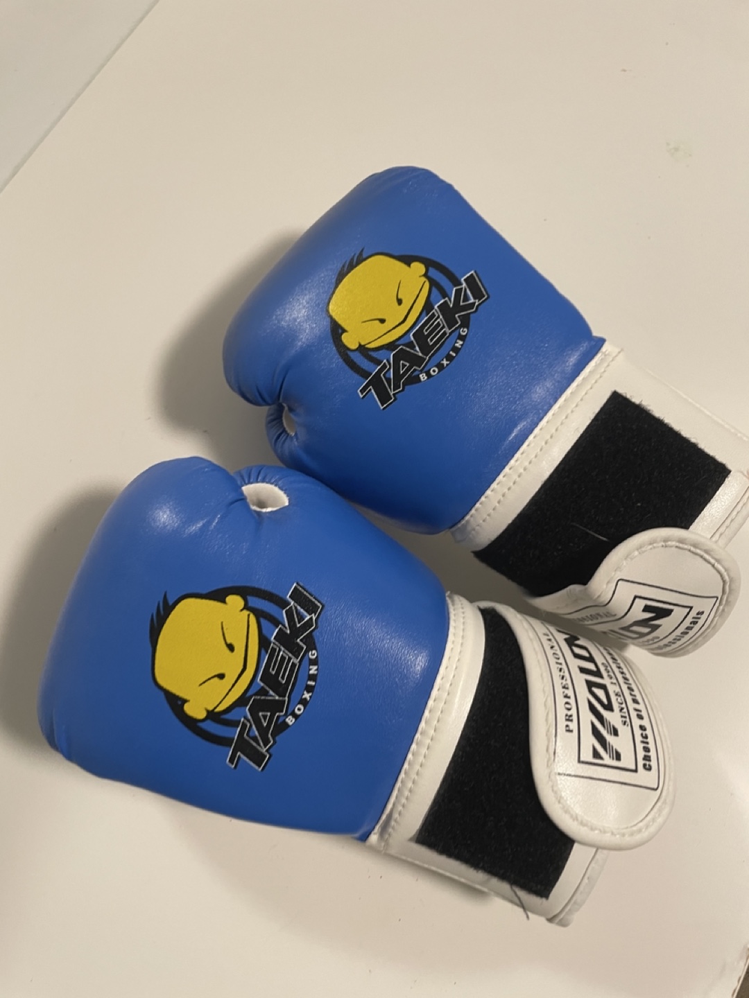 Taeki Boxing Gloves