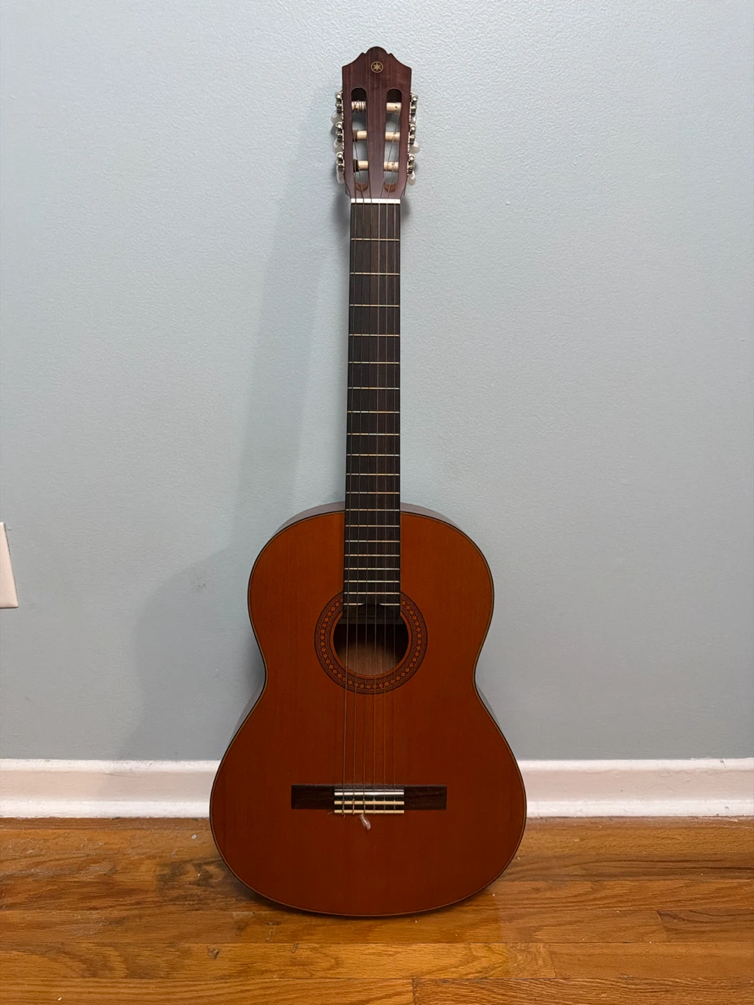 Acoustic Guitar