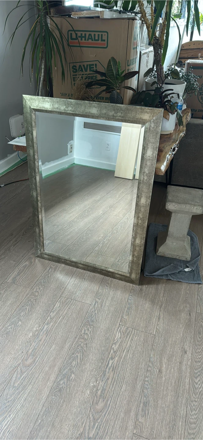 Large Wall Mirror with Brushed Metallic Frame