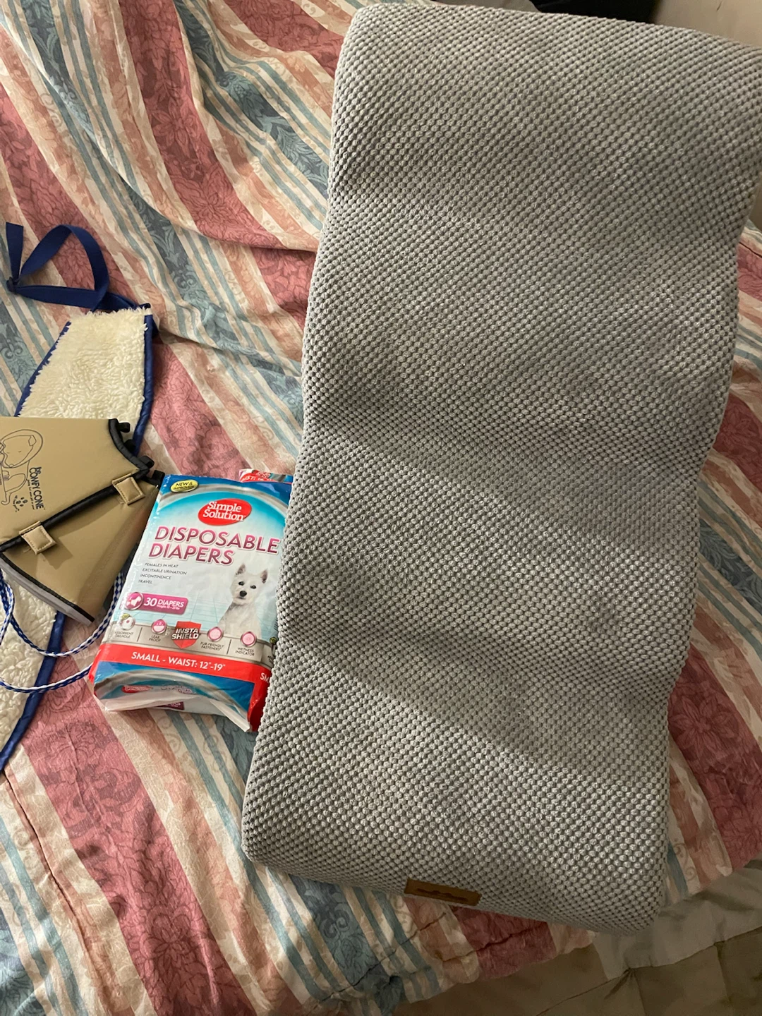 Pet Care Set: Dog Stairs, Diapers, and Cone