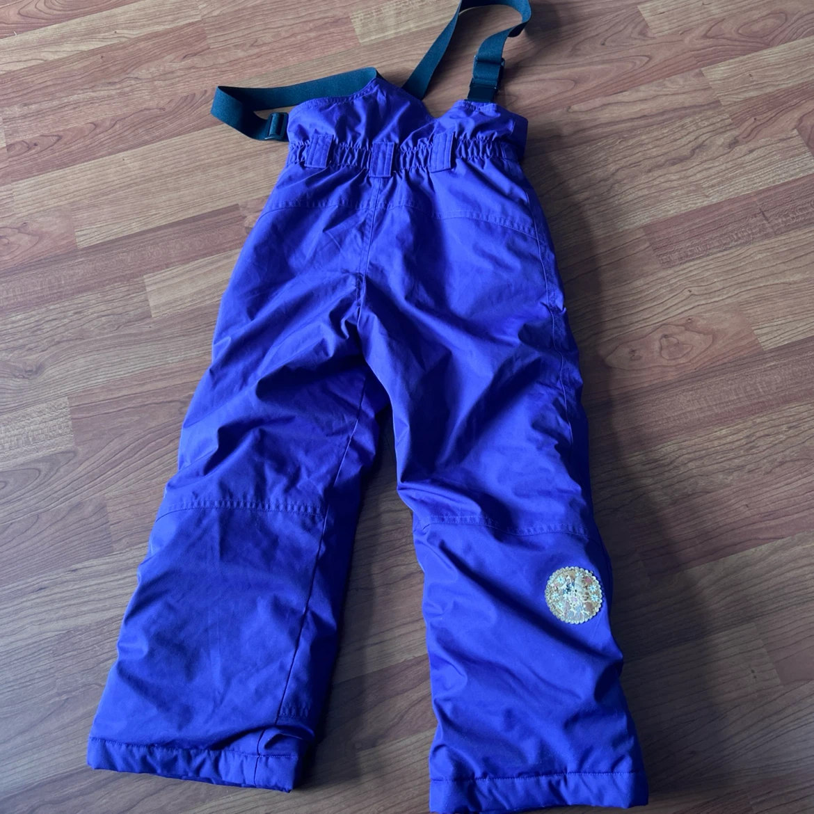Etirel Ski Snow Bibs - Purple