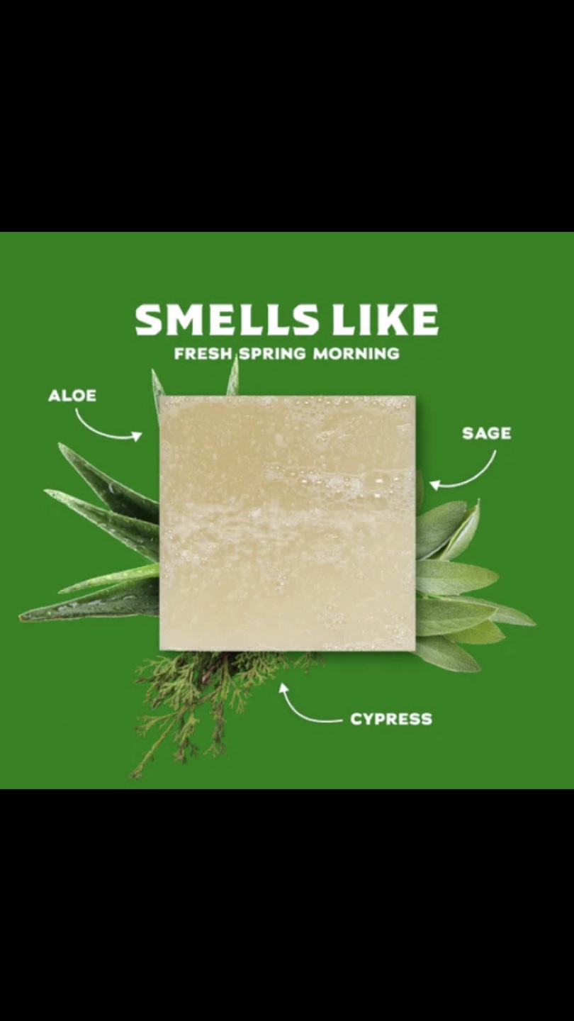 Dr Squatch Natural Soap: Cool Fresh Aloe - photo 3