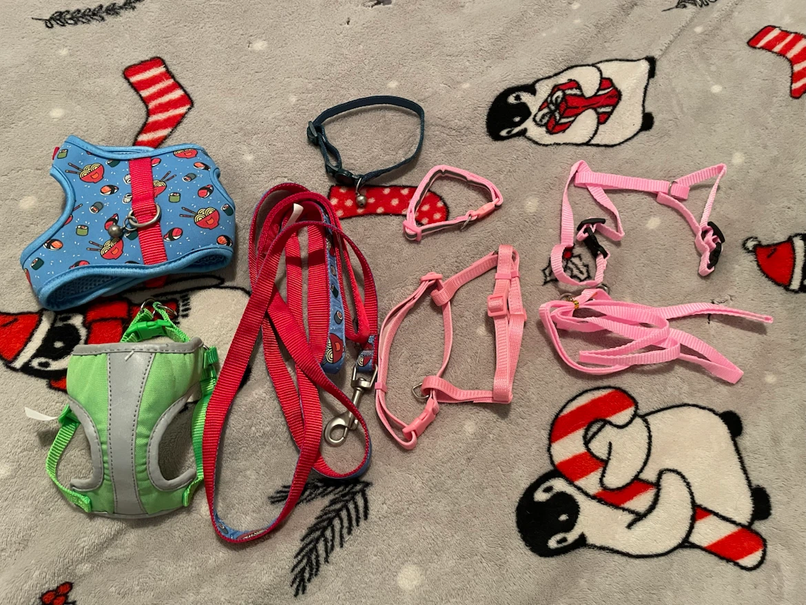 Cat/Kitten Harnesses, Leashes Lot