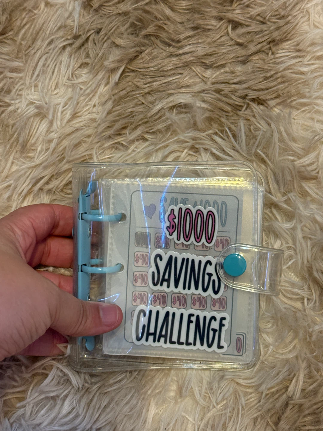 $1000 Savings Challenge Binder