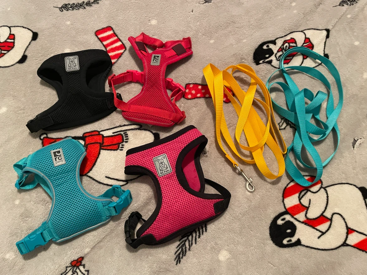RC Pets Cat/Dog Harnesses & Leashes Lot