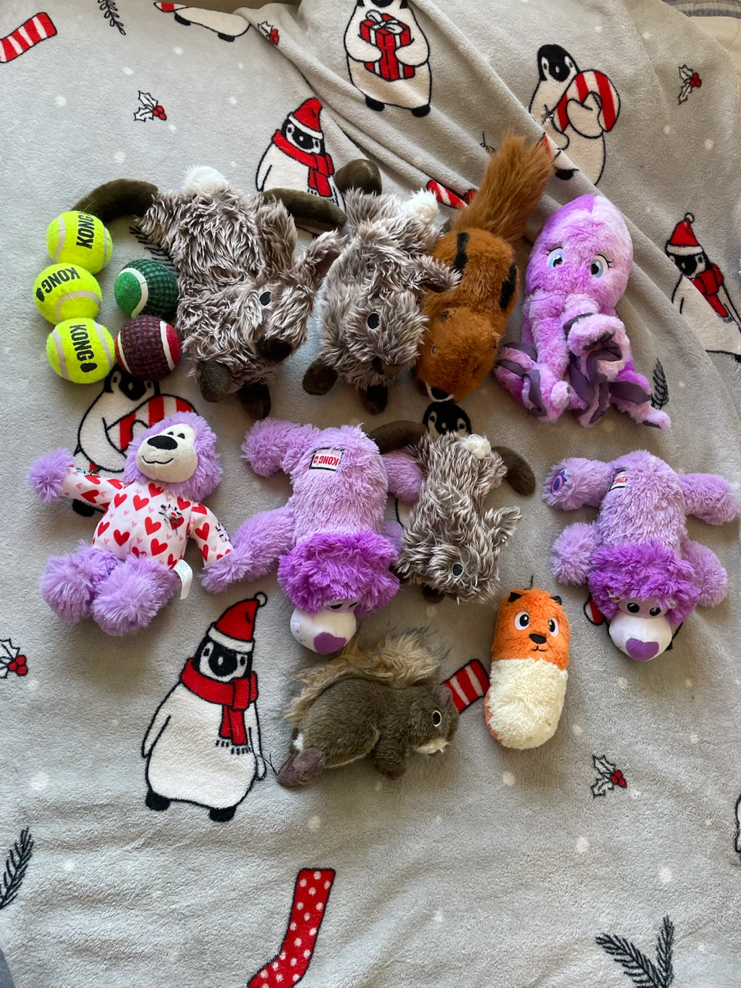 15pc Medium Dog Toys Lot