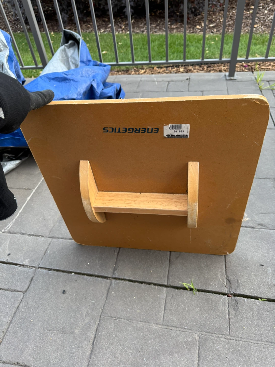 Energetics Exercise Balance Board