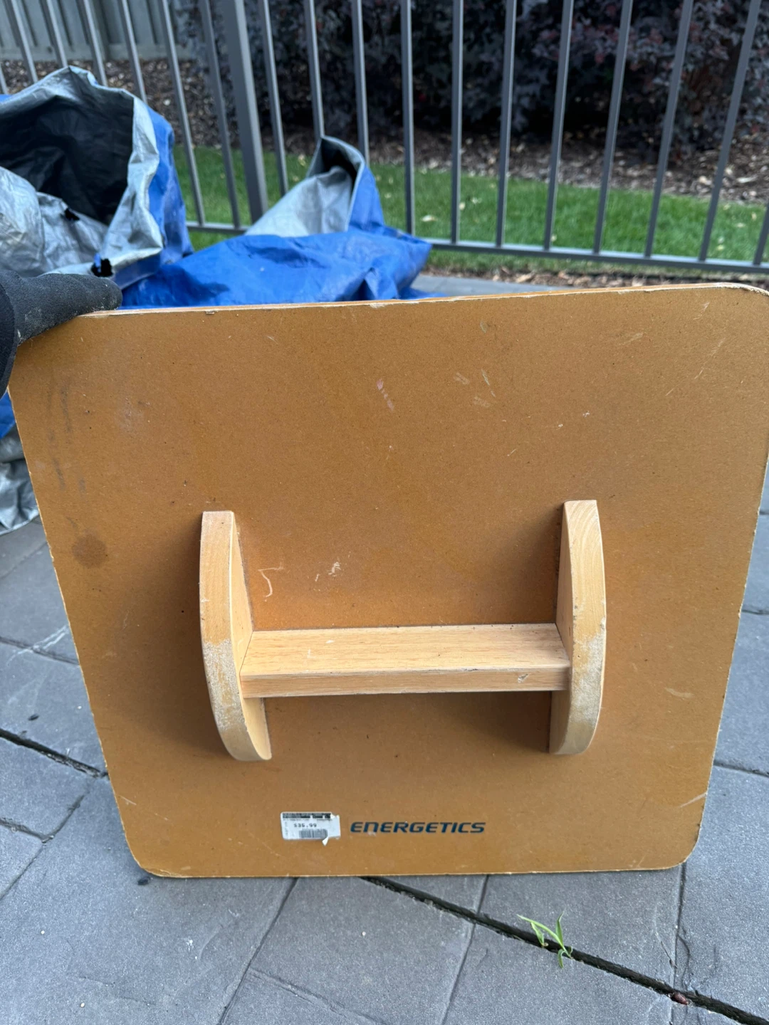 Energetics Exercise Balance Board - photo 2