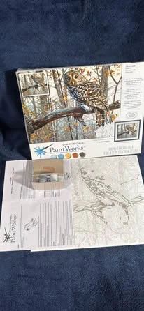 Dimensions PaintWorks Owl Paint by Number Kit
