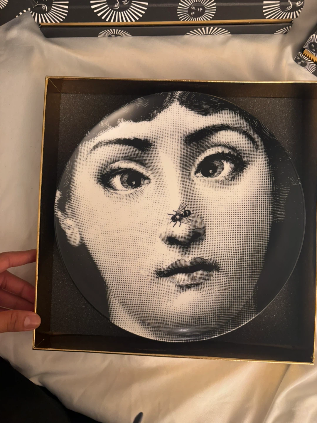 Authentic Fornasetti Tema e Variazioni Porcelain Plates - photo 3