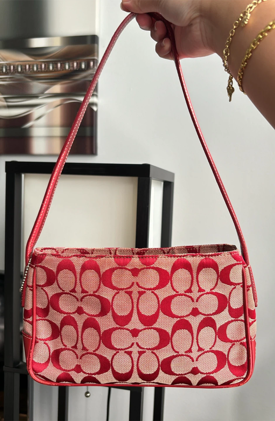 Coach Demi Bag