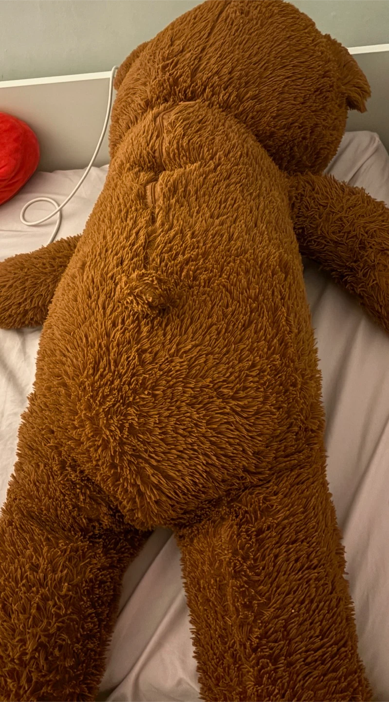 Large cute brown plush teddy bear - photo 3