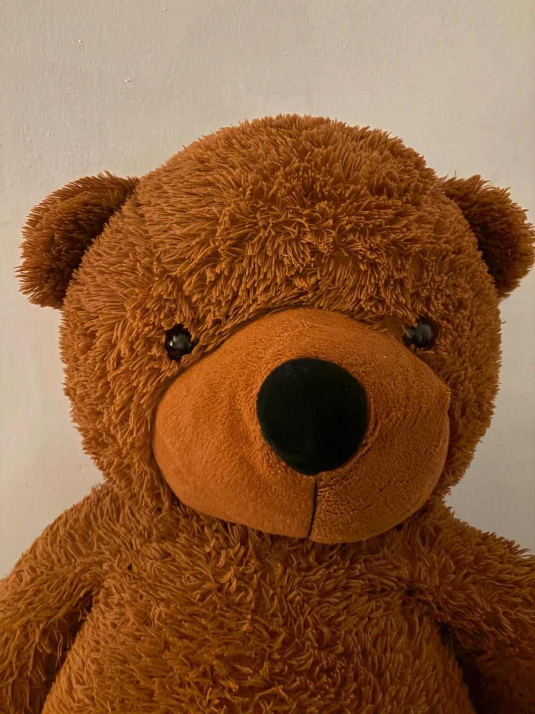 Large cute brown plush teddy bear - photo 2