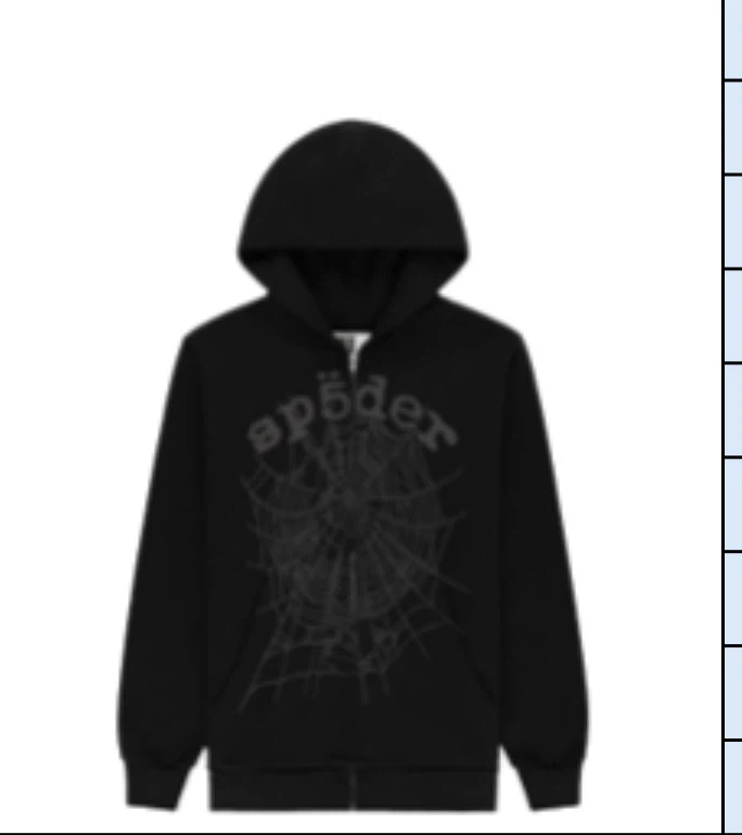 Sp5der Web Hoodie