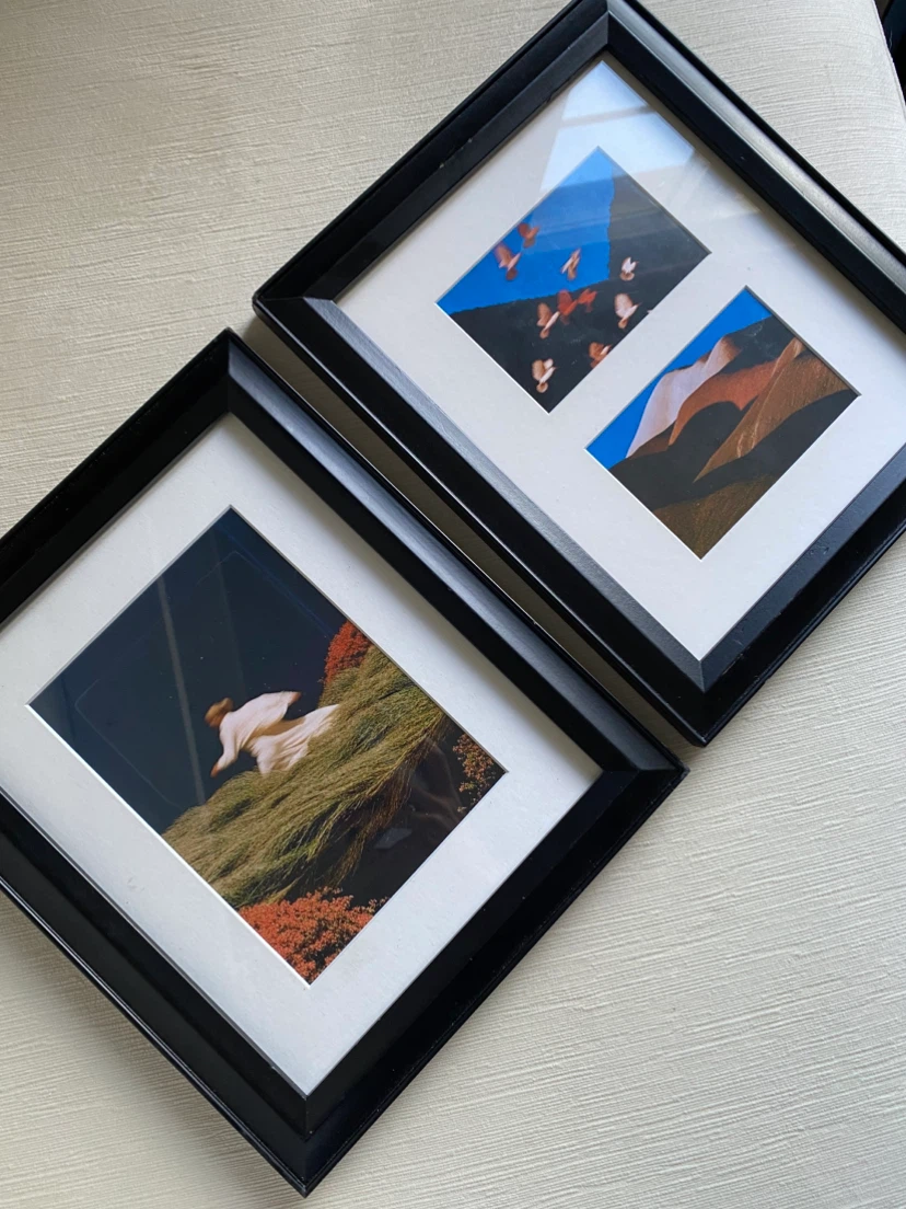 2 unique Prints in Wood Frame