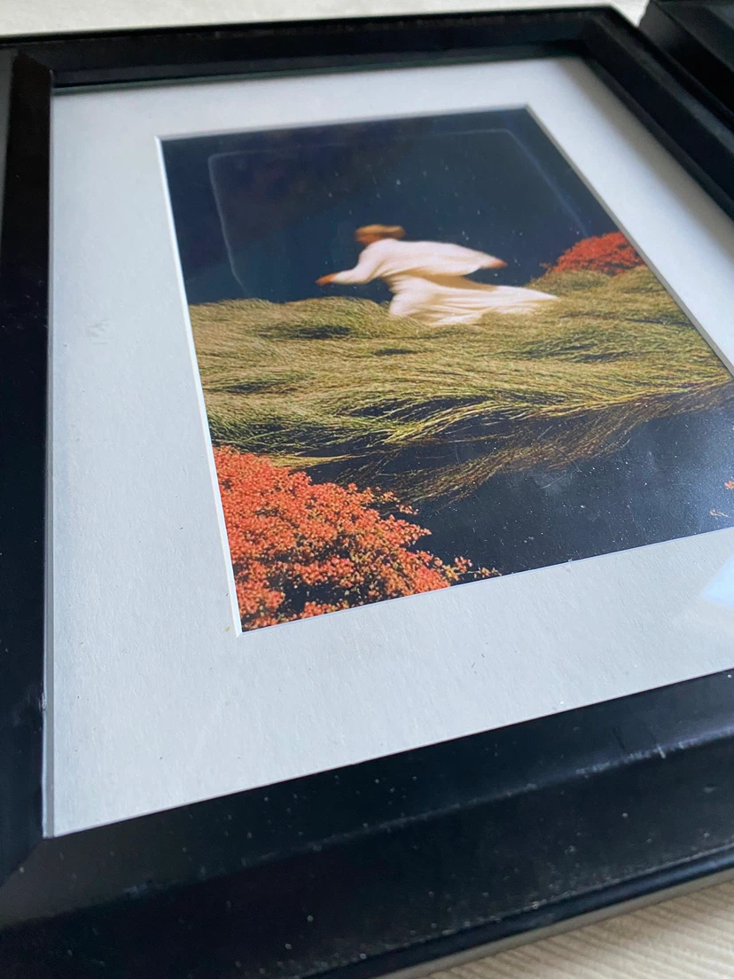 2 unique Prints in Wood Frame - photo 2