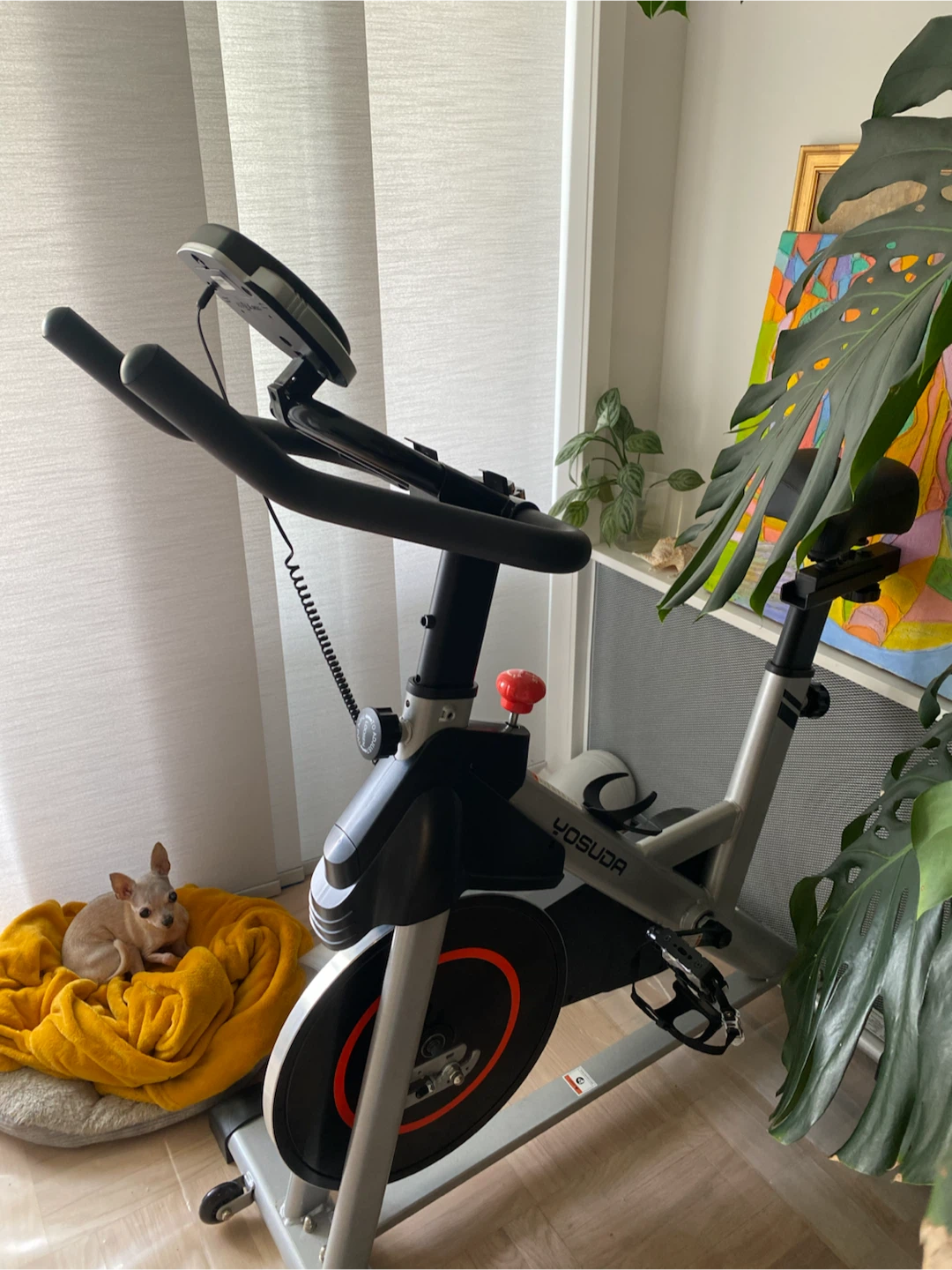 YOSUDA Indoor Cycling Stationary Bike - photo 3