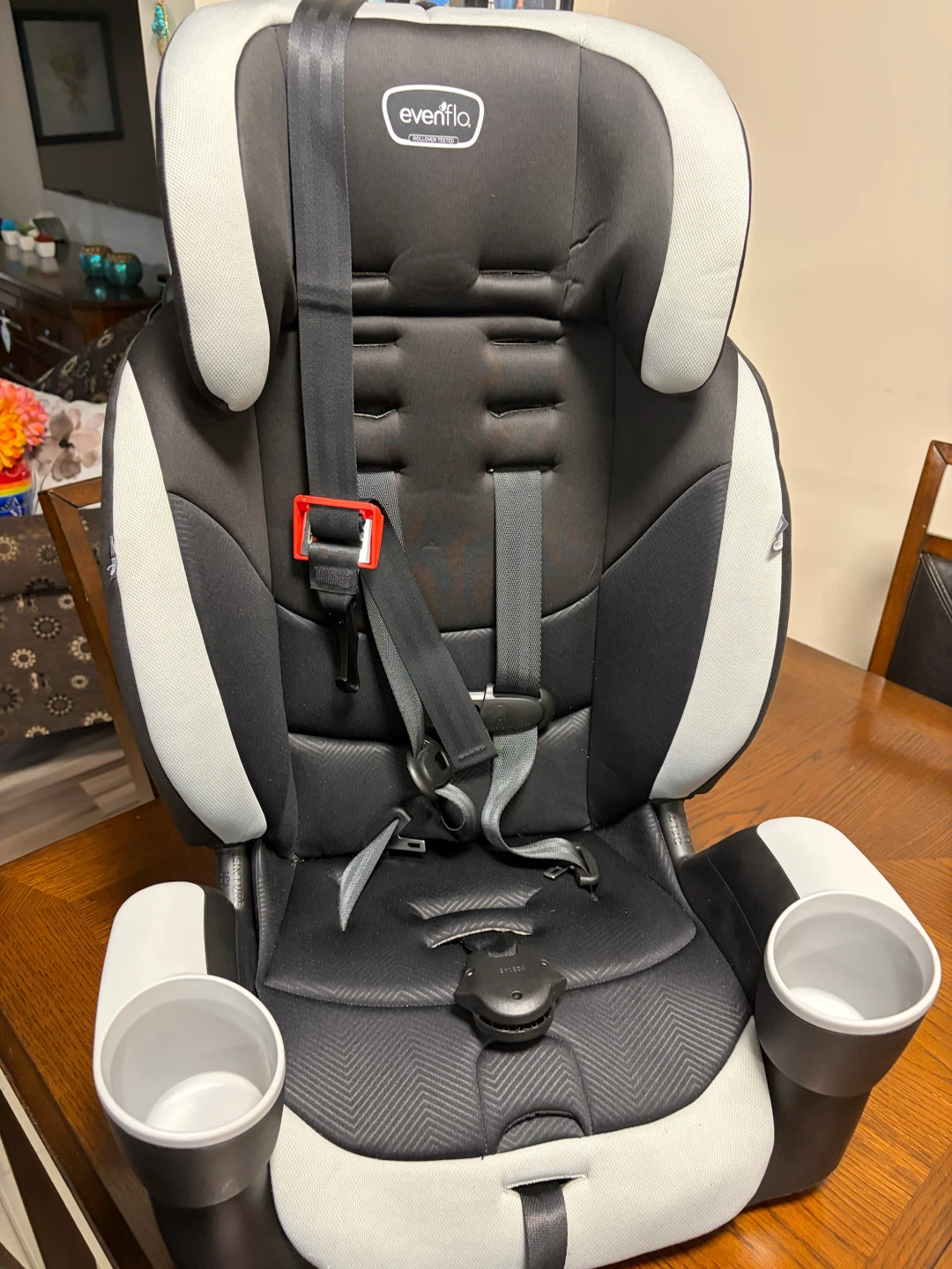 Evenflo Maestro Sport Car Seat - photo 4