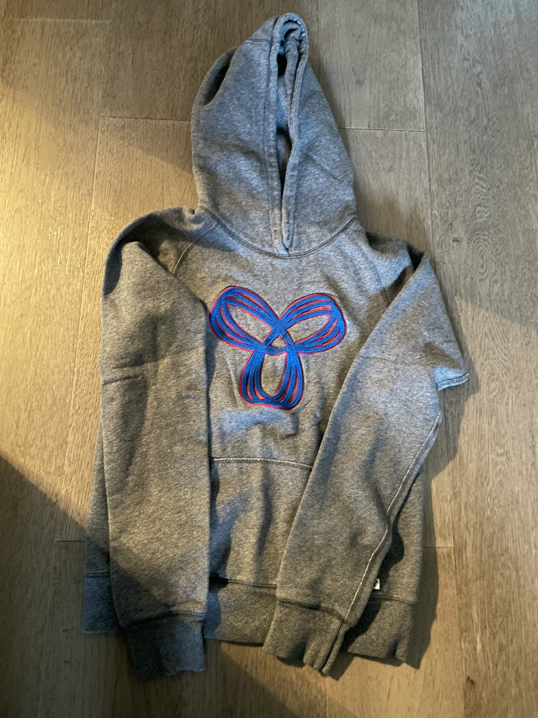 TNA Aritzia Hoodie